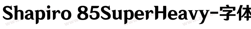 Shapiro 85SuperHeavy字体转换